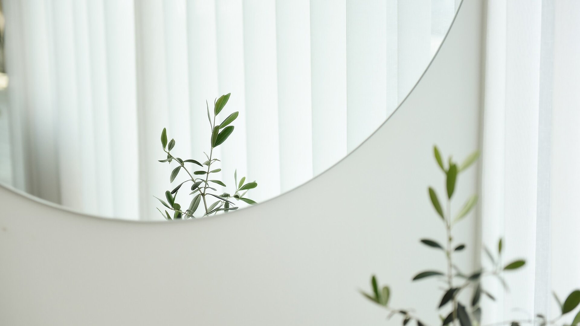 Primo piano della parte inferiore di uno specchio circolare su una parete bianca, che rispecchia le foglie di una pianta.