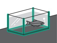 Illustration Aquarium-Dichtungen in Grün